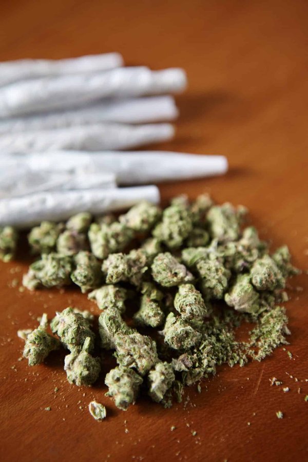 Pourquoi le THCP devient-il de plus en plus populaire ?