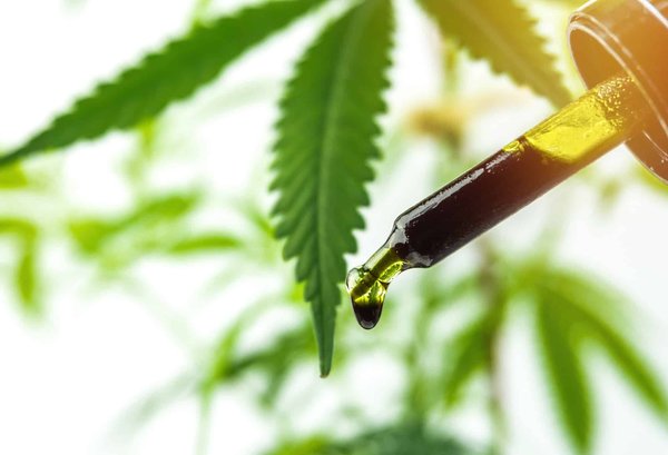 Huile cbd full spectrum : les bienfaits, le site pour en trouver, l'utilisation